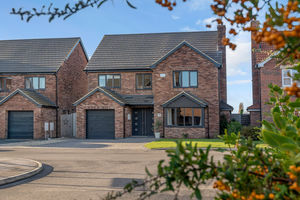 Photo 14- click for photo gallery